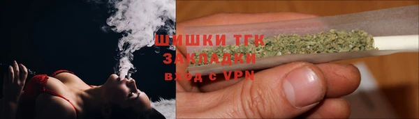 трава Бородино