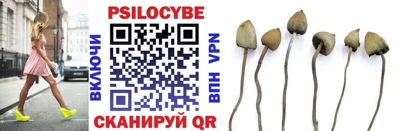 Галлюциногенные грибы Psilocybine cubensis  Рыбинск 